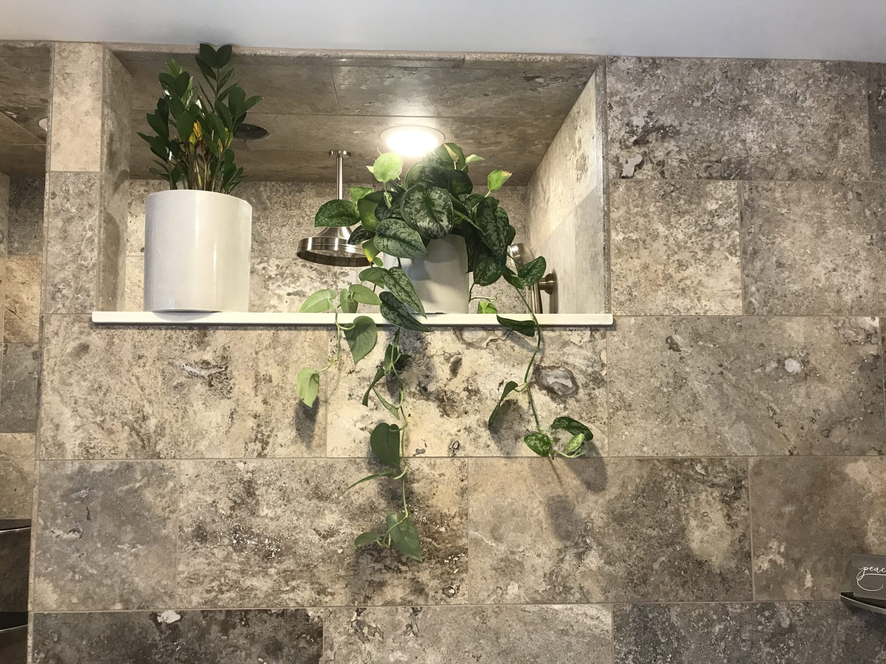 Two potted plants on a shelf under a spotlight, set against a wall of gray stone tiles.