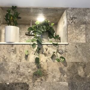 Two potted plants on an shelf under a spotlight, set against a wall of gray stone tiles.